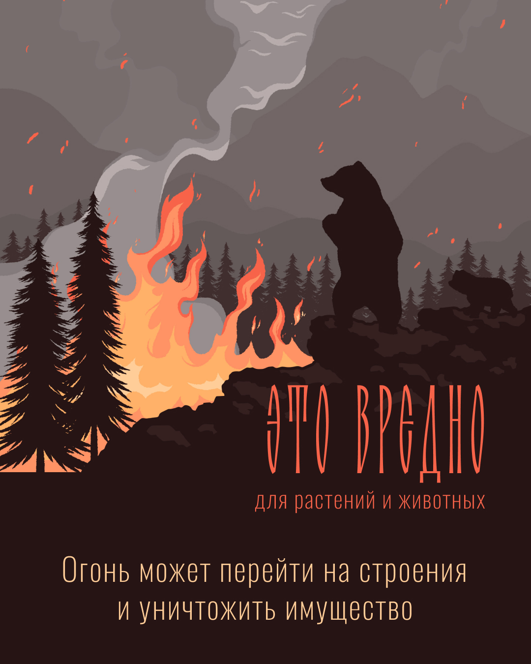Новгородцам рассказали об опасности пала травы.